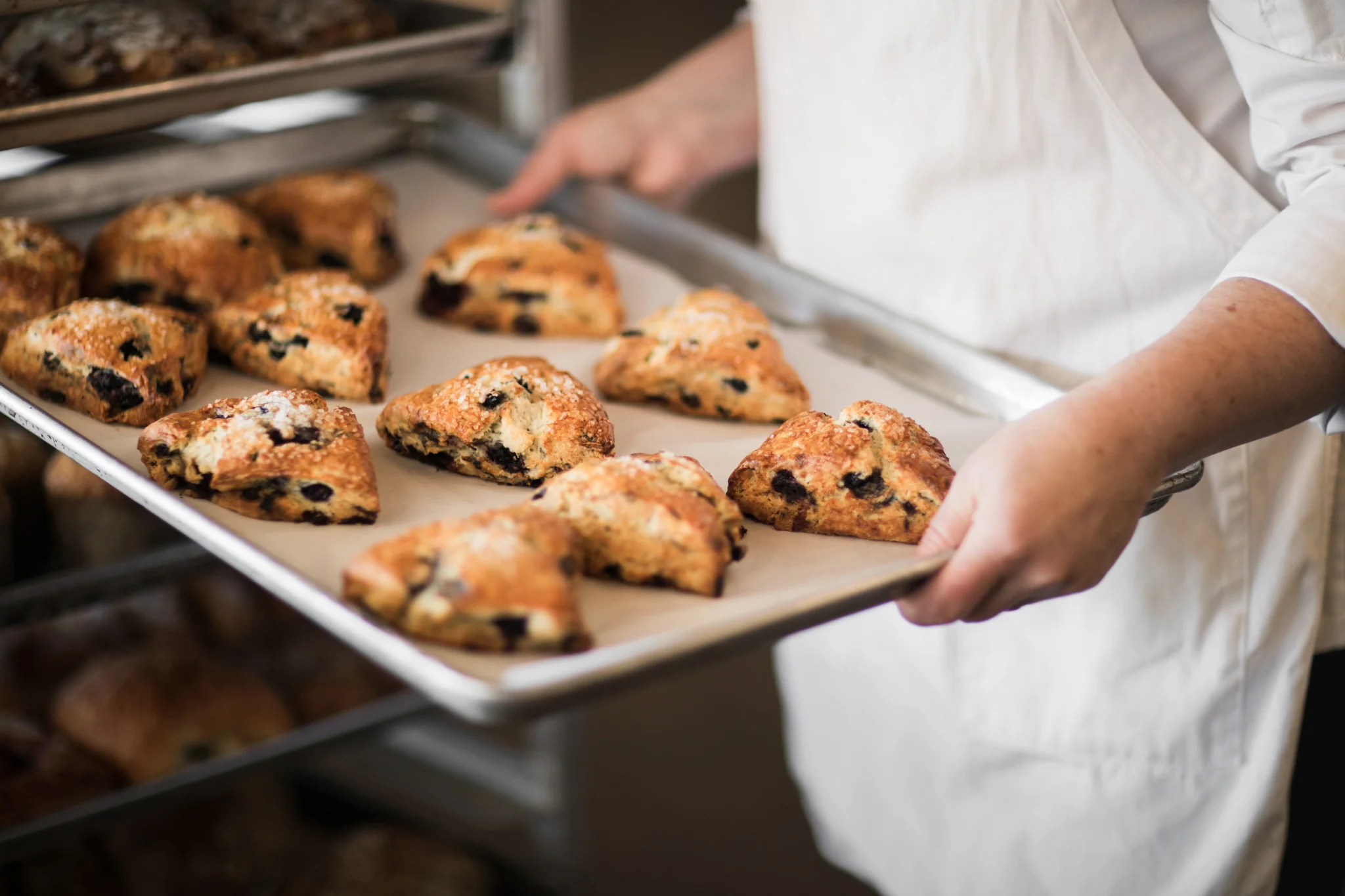 Welcome to Our Store